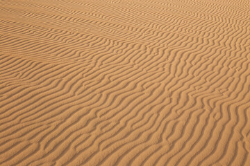 sand dune texture