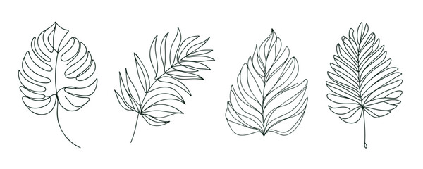 Monstera leaf line art. Contour drawing. Minimalism art. Modern decor © dariachekman