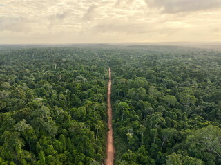 Amazone rainforest road in Suriname.