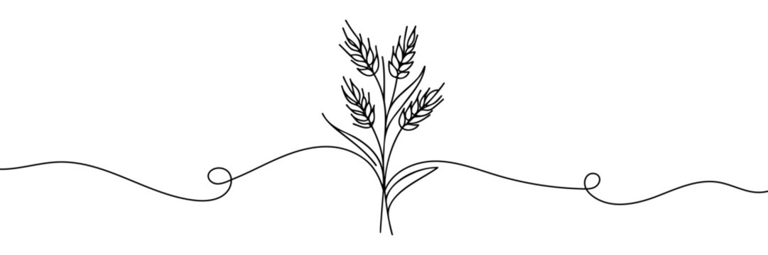 Continuous one line drawing of wheat. Barley or Rye outline vector illustration. One continuous line of wheat