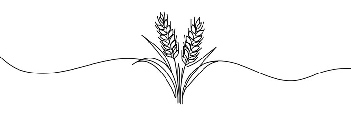 Continuous one line drawing of wheat. Barley or Rye outline vector illustration. One continuous line of wheat