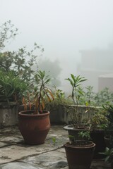 Fototapeta premium Urban Rooftop Garden Amidst Smog Highlighting Challenges of Polluted City Green Spaces