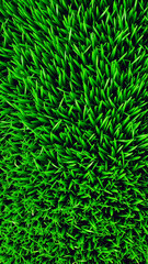 Fototapeta premium Green juicy grass, Close-up