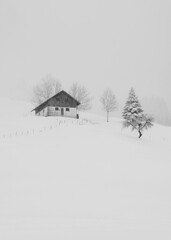 Cabin in woods covered in snow