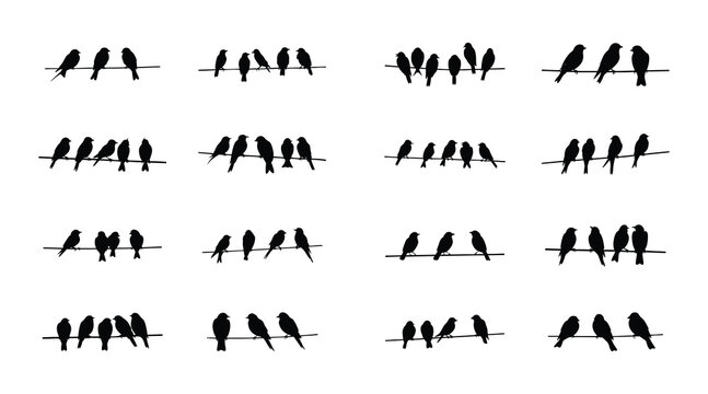 Bird Silhouettes on Wire - Vector Illustration Set