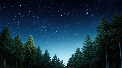 Fototapeta premium A serene night sky filled with bright stars above a tranquil forest, Ideal for nature-themed projects, astronomy content, or relaxation themes in marketing materials,