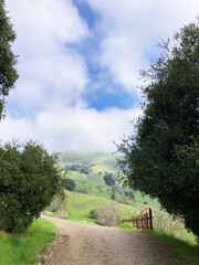 A dirt hiking trail winds through lush green hills, framed by dense trees on either side, leading to a distant ridge under a partly cloudy sky in Alum Rock Park.