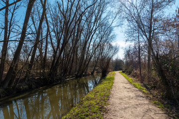 Scenic riverside path with bare trees and clear blue sky in early spring