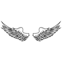 wings in vector. Design elements for logo, badge or label. Vector illustration.