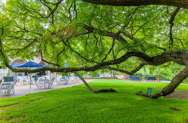 Sunny exterior view of The Dallas Arboretum and Botanical Garden