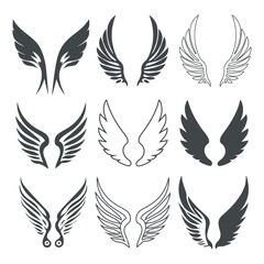 Wing Shield Design Collection