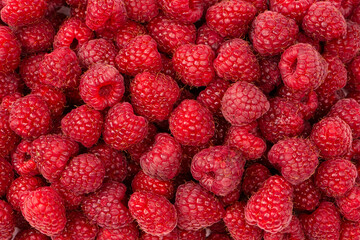 Tasty fresh raspberry as a background.