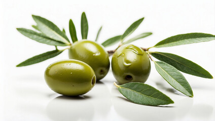 Obraz premium An Olive Branch with Two Green Olives Isolated for Culinary Use