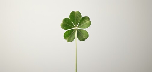 A four-leaf clover stands upright with its vibrant green leaves illuminated softly. Its unique shape symbolizes good fortune, blending nature with elegance.