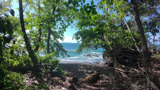 Drone shot fly backwards from the blue ocean into the lush rainforest in Costa Rica