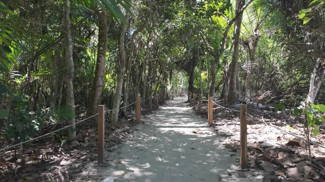 Walkthrough of Manual Antonio beach forest trail (POV) - Hiking
