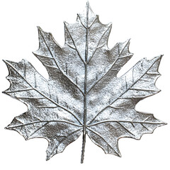 Fototapeta premium A highly detailed silver-colored maple leaf with a metallic texture, resembling a frozen leaf covered in frost
