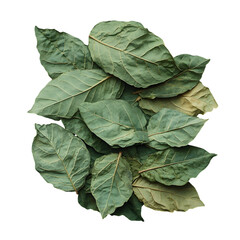 A detailed close-up of dried tobacco leaves with a textured and crinkled appearance
