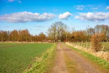 Fototapeta premium Feldweg