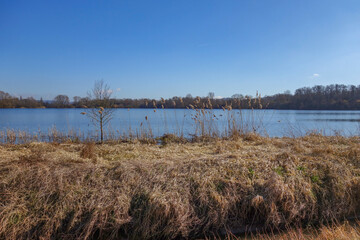 Seegras und Blick auf die Gevattersee Gegend.