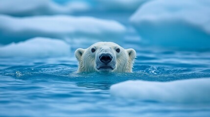 Polar bear swimming in icy blue waters. A majestic creature of the Arctic. Observe the beauty of wildlife in its natural habitat. Generative AI