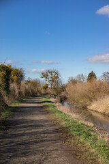 Wanderweg bei Petzen (Bückeburg)