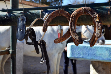 Equestrian tools and horseshoes hanging in a rural spanish setting