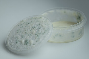 A round transparent container with a removable lid reveals a creamy paste with green or blue mold