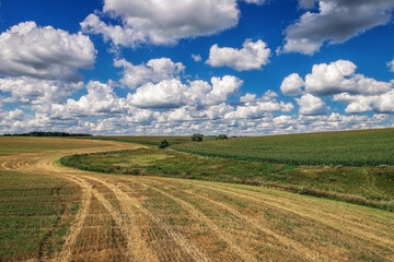 Fototapeta premium sky clouds