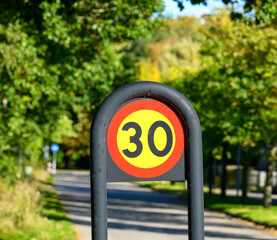 A bright speed limit sign displays 30 km/h on a serene road lined with trees. The clear blue sky and natural foliage create a calming atmosphere for drivers