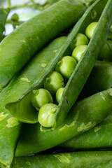 New harvest of fresh ripe green peas legumes