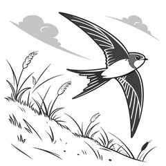 A detailed vector illustration of the Common Swift, the fastest bird in level flight. Perfect for wildlife art, birdwatching themes, and nature-inspired designs.