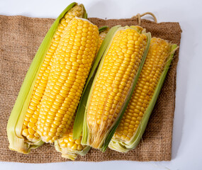 Fresh yellow ripe sweet raw corn, sugar corn or pole corn, variety of maize, uncooked