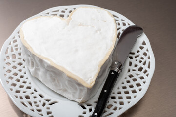 Cheese collection, French cheese from Normandy region, heart-shaped neufchatel from farm shop close...