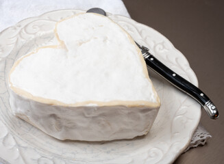 Cheese collection, French cheese from Normandy region, heart-shaped neufchatel from farm shop close up
