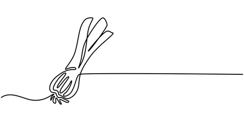 Leeks, fresh onion stalk vector illustration, background. One line drawing art illustration with lettering organic leeks, Single one line drawing whole healthy freshness organic leek for plantation.