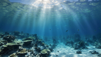 Fototapeta premium A Stunning Underwater Scene Illuminated by Blue Sunlight