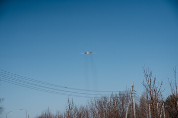 An airplane soars through the blue sky above a green forest, contrasting aviation technology with the tranquil beauty of nature as it glides effortlessly on its heavenly journey