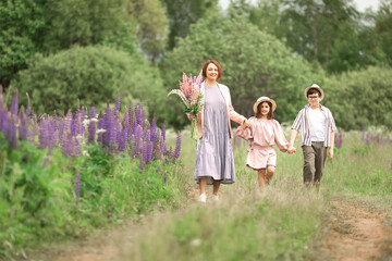 Fototapeta premium Caucasian young woman with children walking in lavender field holding flowers