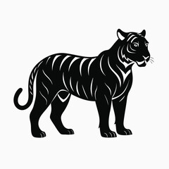 tiger silhouette isolate on white background