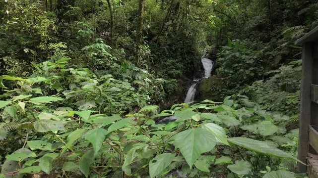 Slow motion Cascading Waterfall in Monteverde Cloud Forest, Costa Rica