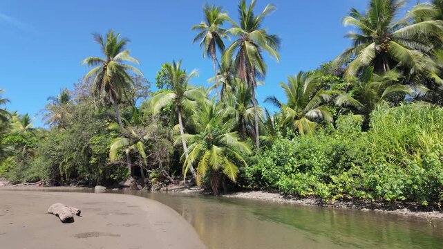 Shallow beach river in rainforest jungle - slow motion track forward
