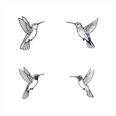Obraz premium vector illustration of a hummingbird in mid-flight