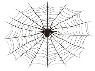 Obraz premium Detailed spiderweb illustration.