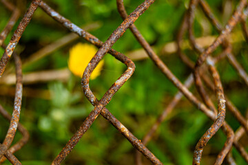 Iron wire in the field. Meadow green in the background with a blurred flower
