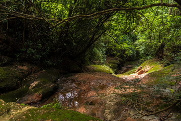 Small stream formed between the rocks in the middle of an Atlantic Forest in Brazil