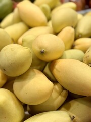  A pile of ripe juicy yellow colored mango in a box, put up for sale at a supermarket vegetable stand, demonstrates organic, vegetarian and healthy food. Close-up