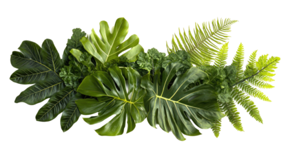 Lush green tropical foliage arrangement showcasing various leaf types on a neutral backdrop, green tropical plants