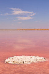 Pink Salt Lake with Salt Island