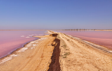 Dirt Road Dividing Pink Salt Lake